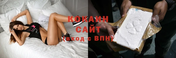 тгк Абаза