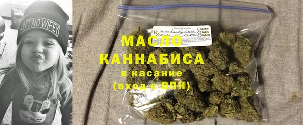 тгк Абаза
