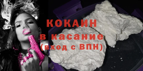 тгк Абаза